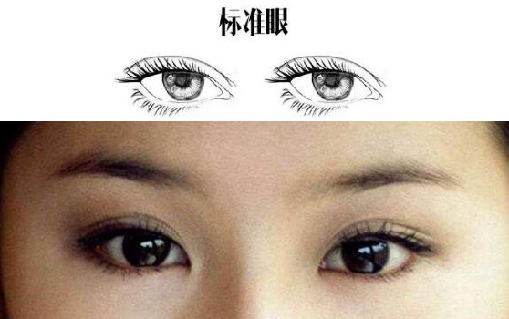 2,杏眼又称杏仁眼,如杏子形状的眼睛.