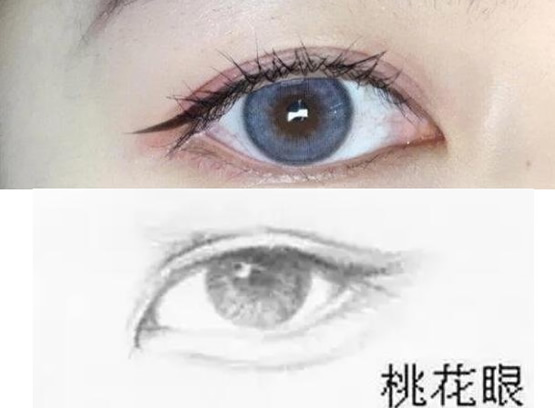 2,杏眼又称杏仁眼,如杏子形状的眼睛.