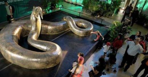 世界奇闻怪事1000例(国内24件末解之迷)