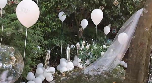 求婚策划多少钱(一般求婚策划花费多少) 求婚策划多少钱(一般求婚策划花费多少)