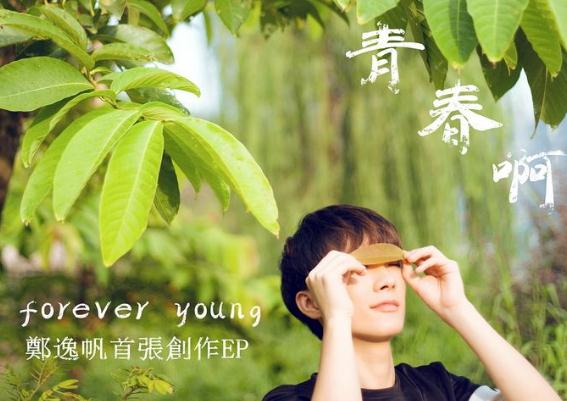 60后的歌大盘点(60后经典老歌500首)