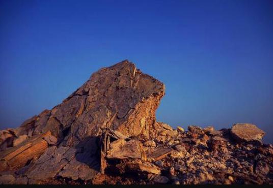 地球一共灭亡了几次(已经历5次生物大灭绝) 地球一共灭亡了几次(已经历5次生物大灭绝)