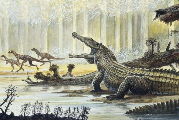 地球一共灭亡了几次(已经历5次生物大灭绝) 地球一共灭亡了几次(已经历5次生物大灭绝)