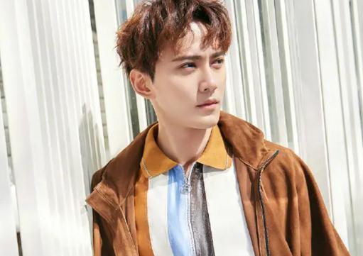 徐正溪老婆周丽淇吗,分手原因揭晓 徐正溪老婆周丽淇吗,分手原因揭晓