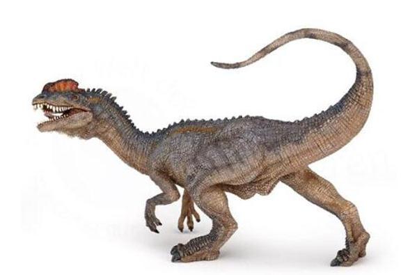 恐龙的种类名称和图片(恐龙有多少种呢)