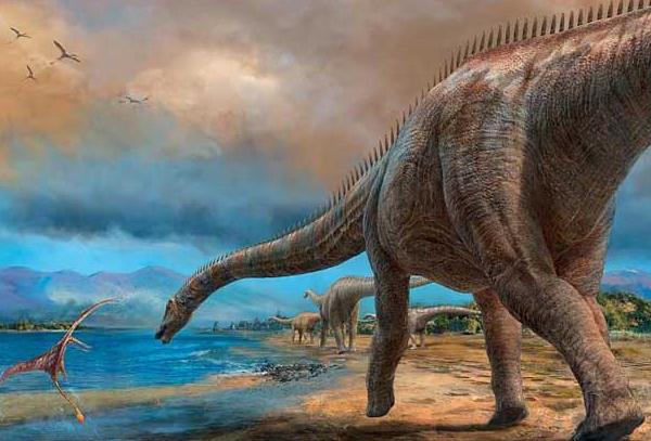 恐龙的种类名称和图片(恐龙有多少种呢) 恐龙的种类名称和图片(恐龙有多少种呢)