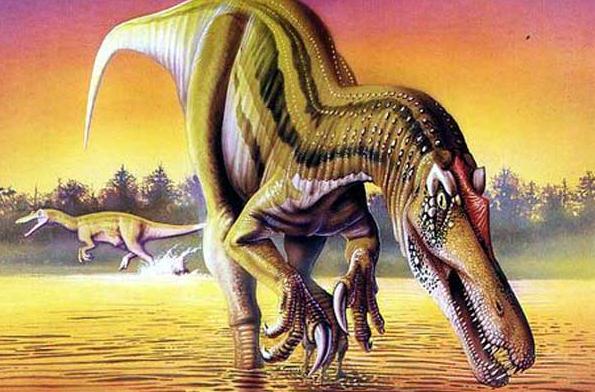 恐龙的种类名称和图片(恐龙有多少种呢) 恐龙的种类名称和图片(恐龙有多少种呢)