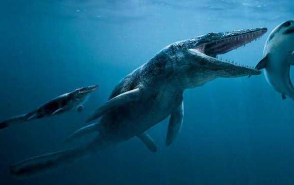 恐龙的种类名称和图片(恐龙有多少种呢)