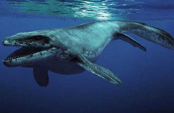 恐龙的种类名称和图片(恐龙有多少种呢)