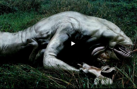 经典最韩国的惊悚电影（15部必看经典恐怖电影）