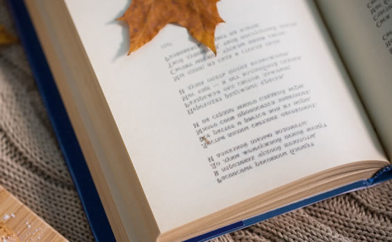 抄袭界四大作家是谁(网上涉嫌抄袭作者盘点) 抄袭界四大作家是谁(网上涉嫌抄袭作者盘点)