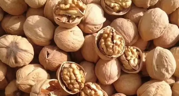 男人行不行看腿就知道(活好的男人怎么练的) 男人行不行看腿就知道(活好的男人怎么练的)