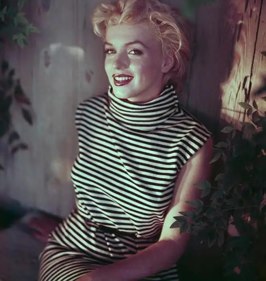 全球公认的四大美女(世界公认4大女神)