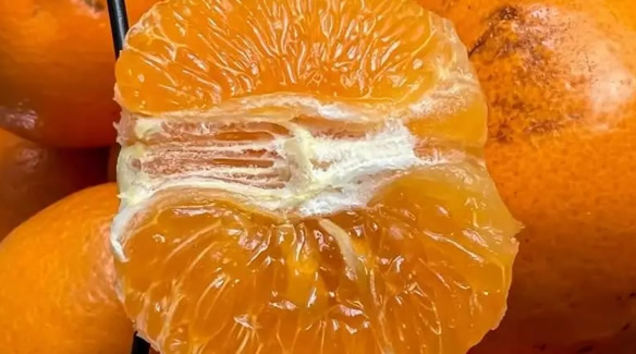 吃沃柑减肥还是增肥,吃沃柑的好处 吃沃柑减肥还是增肥,吃沃柑的好处