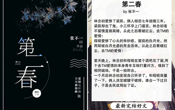 4,《第二春》,作者:张不一,先婚后爱,契约联姻,二婚文.