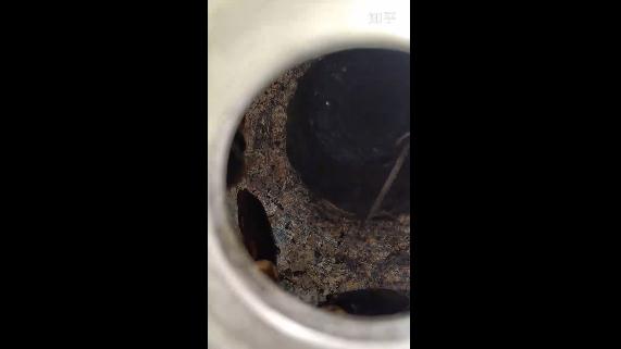 怎样灭蟑螂最有效的方法 10个家庭灭蟑螂有效方法