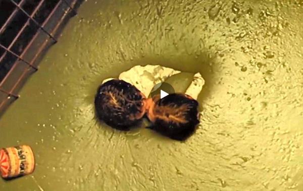 适合情侣看的高分电影 10部情侣晚上单独看的电影