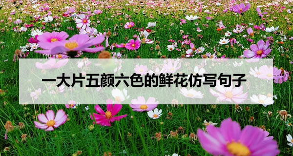 一大片五颜六色的鲜花仿写句子 一大片五颜六色的鲜花仿写句子