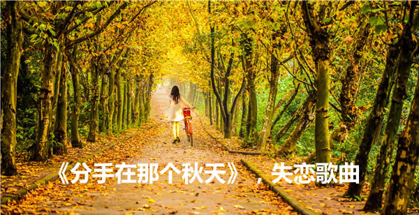 伤心情歌心情不好时听的(好听十首经典伤感情歌)