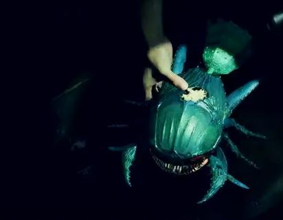 世界上最恶心的尸体(史上可怕十大恐怖死尸)