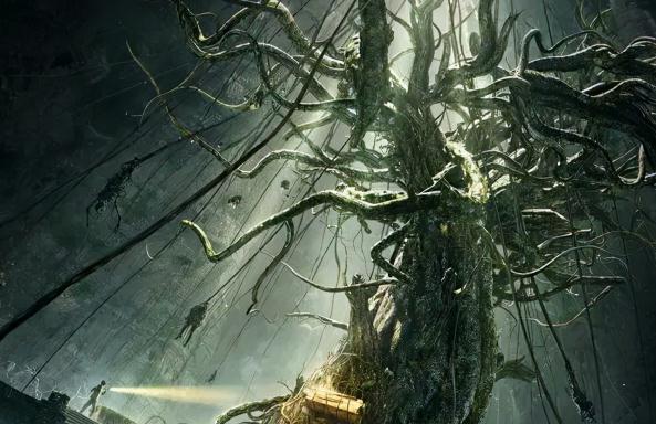 世界上最恶心的尸体(史上可怕十大恐怖死尸)