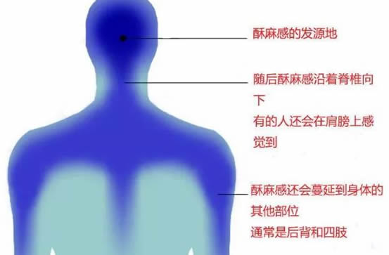 什么是asmr来源(asmr音频开车助睡女生哼叫音频) 什么是asmr来源(asmr音频开车助睡女生哼叫音频)