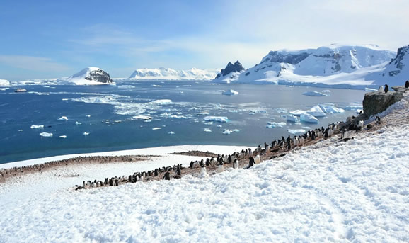 为什么飞机不从南极上空飞
