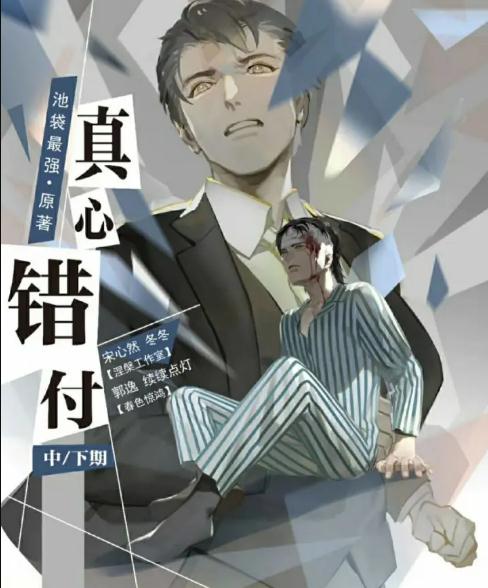 耽美虐文(汇总好看95本BL耽美小说汇总)