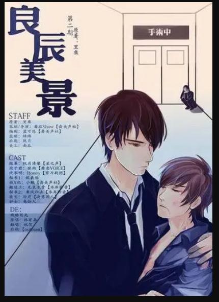 耽美虐文(汇总好看95本BL耽美小说汇总)