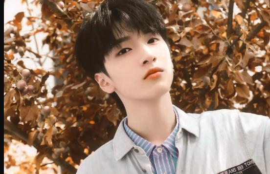 时代少年团各自偶像