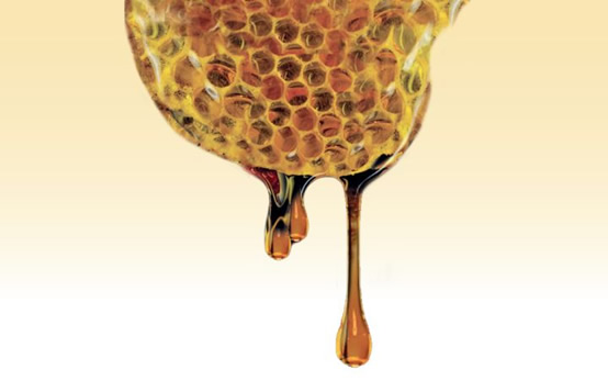 为什么蜂蜜不会变质 蜂蜜结晶好还是不结晶好 为什么蜂蜜不会变质 蜂蜜结晶好还是不结晶好