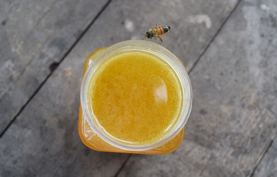 为什么蜂蜜不会变质 蜂蜜结晶好还是不结晶好 为什么蜂蜜不会变质 蜂蜜结晶好还是不结晶好