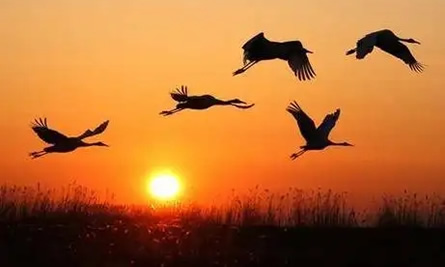 努力上进的金句 2022加油 努力上进的金句 2022加油