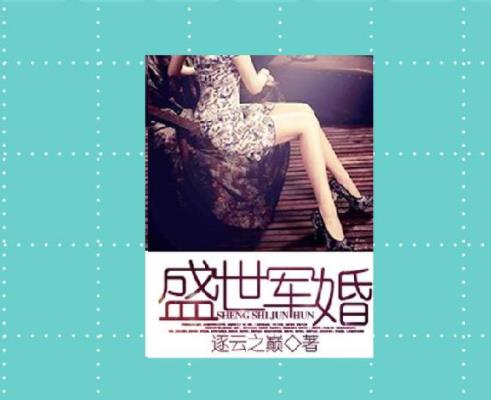 十部必看的军婚小说推荐