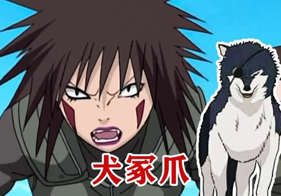 火影十大丑女(火影中5个最丑女人介绍及图片) 火影十大丑女(火影中5个最丑女人介绍及图片)