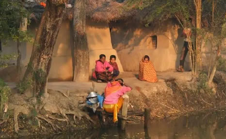 血缘是姑亲还是姨亲呢(三个小朋友的答案意外了) 血缘是姑亲还是姨亲呢(三个小朋友的答案意外了)