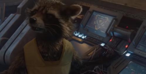 世界动物智商前十排行(猪聪明是世界上排名第一名)