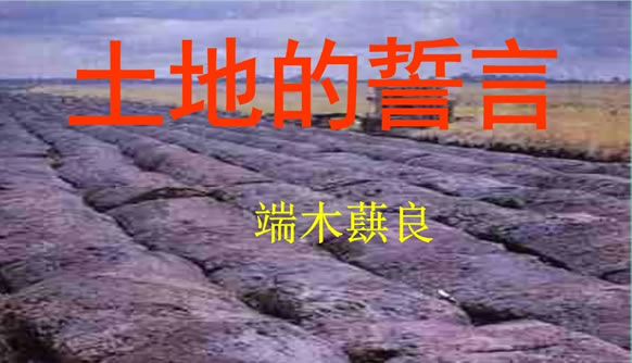 曹京平的长篇小说代表作有哪些