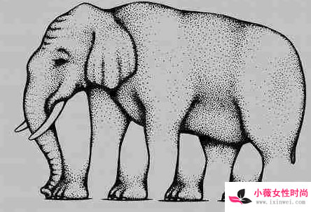 十大错觉图(视觉效果蒙蔽了双眼)