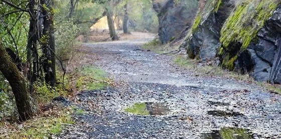 人去世前会给亲人暗示(老人死前给亲人的不祥预感