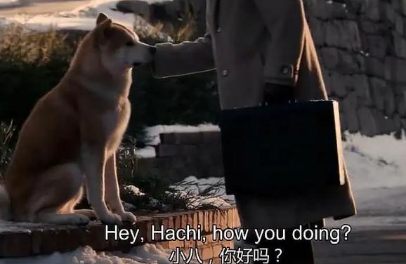 泪点再高也会哭死的电影(6部伤感电影瞬间泪目了)