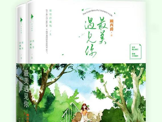 十部顶级耐看小说言情向，老书虫反复推荐(磕得很上头)