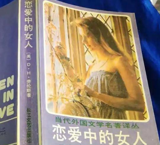 好看的书籍排行榜前十名(60本经典好书推荐) 好看的书籍排行榜前十名(60本经典好书推荐)