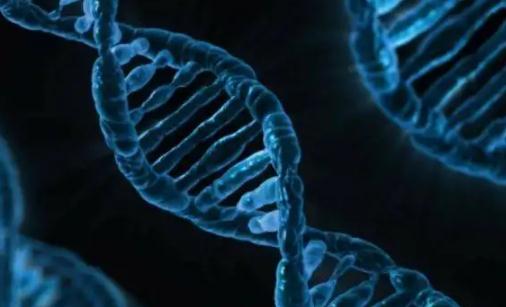 人类灭绝时间已定 科学家提出11种人类可能灭绝原因 人类灭绝时间已定 科学家提出11种人类可能灭绝原因