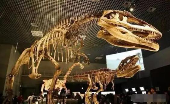 十大暴龙 十大最强恐龙排名