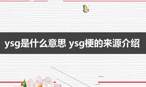 ysg是什么意思 ysg梗的来源介绍