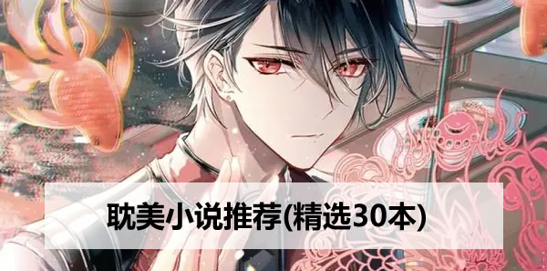 耽美小说推荐(精选30本) 耽美小说推荐(精选30本)