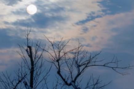 恐怖音乐排行榜前十名 世界十大恐怖歌曲慎听