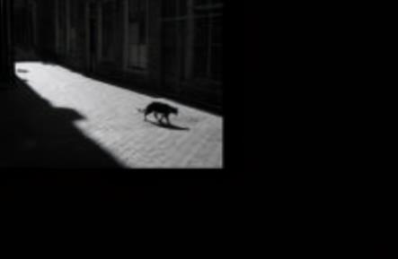 恐怖音乐排行榜前十名 世界十大恐怖歌曲慎听