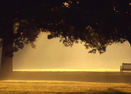 恐怖音乐排行榜前十名 世界十大恐怖歌曲慎听